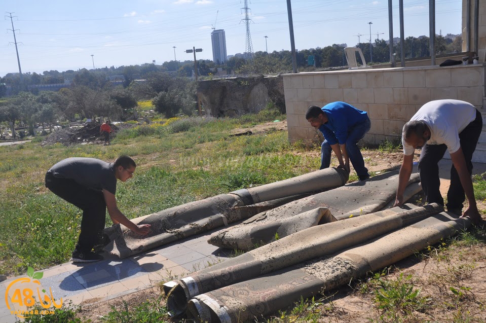 tasohamlalanjna (41).jpg